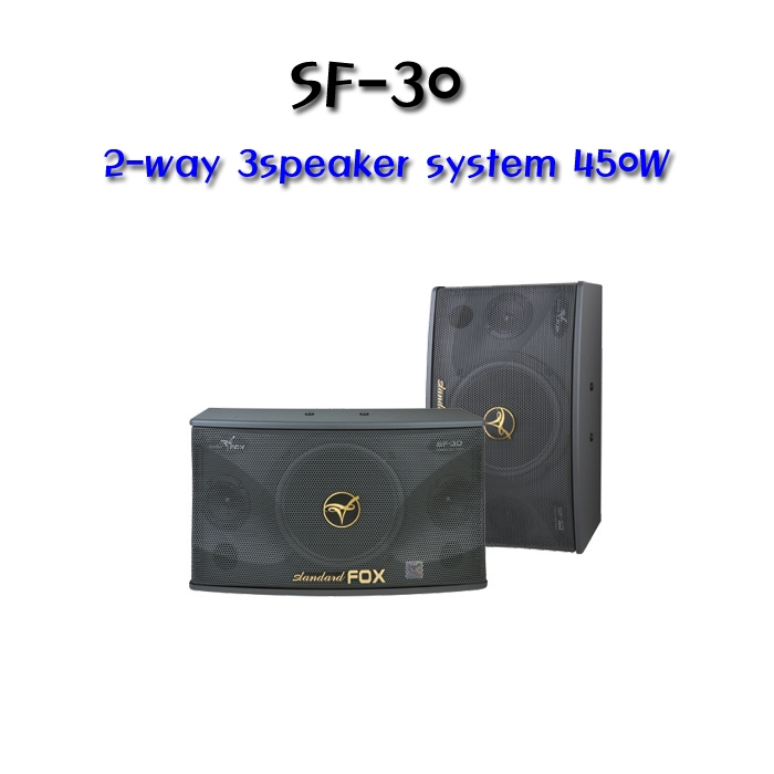 SF-30 고급형 10인지 2-way 3speaker system 450와트