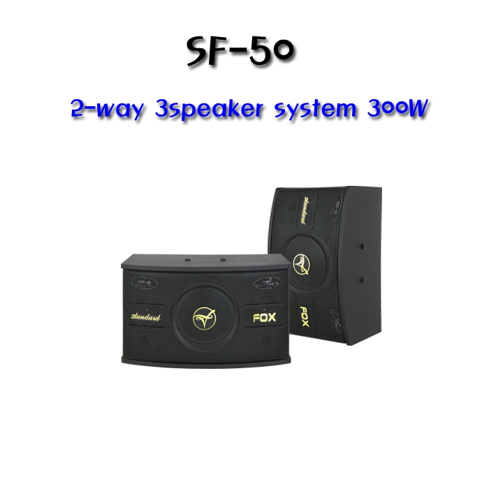 SF-50  10인지 2-way 3speaker system 300와트