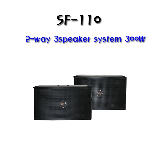 SF-110 10 인지2-way 3speaker system 300 와트