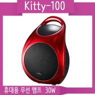 Kitty-100/무선1채널 30와트 휴대용 앰프 USB/TF-Card/Bluetooth 미디어플레이어
